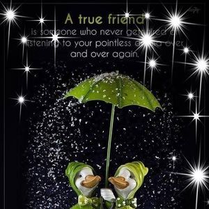 Meet your Posher, Rose